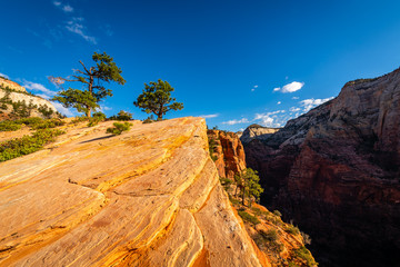 Obraz premium The Angels Landing Hike