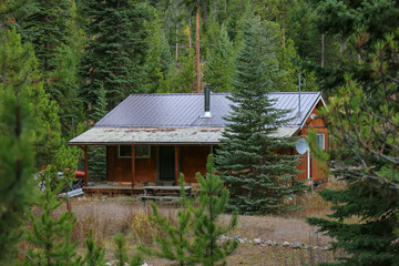 Cabin in the woods