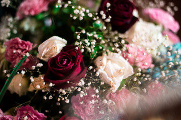 beautiful flowers in wonderful day