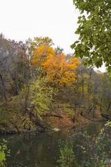 River through the autumn trees