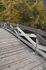 Obraz premium Bridge in the park with autumn trees