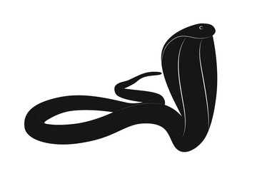 Vector illustration for the scary predator the king cobra snake in black and white