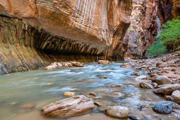 The Narrows of Zion