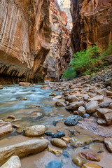 The Narrows of Zion