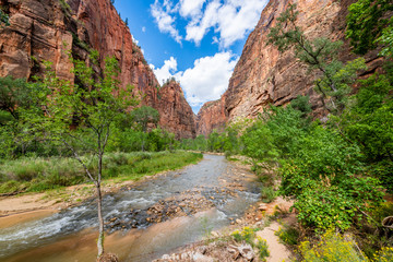 The Riverside Trail