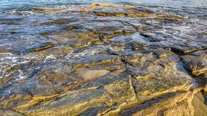 Large beige rocky surface just under the surface of the sea wide image