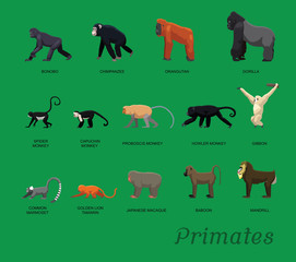 Obraz premium Primate Species Set Cartoon Vector Illustration