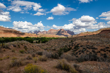 The Grafton Ghost Town