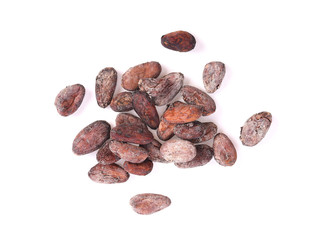 cocoa on white background