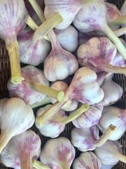 Knoblauch auf einem Markt in Frankreich