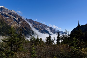 Clouds lying on the hill at the beginning of No. 1 Glacier in Hailuogou, Sichuan, China. 