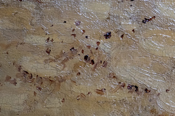 Old cracked paint on the old wall.