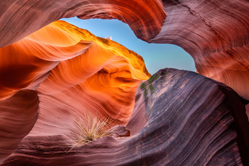 Rattlesnake Canyon 