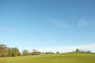 a green park in autumn