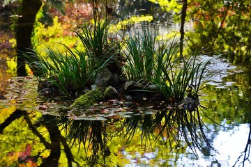 色着いた秋の木々と山吹水源の共演