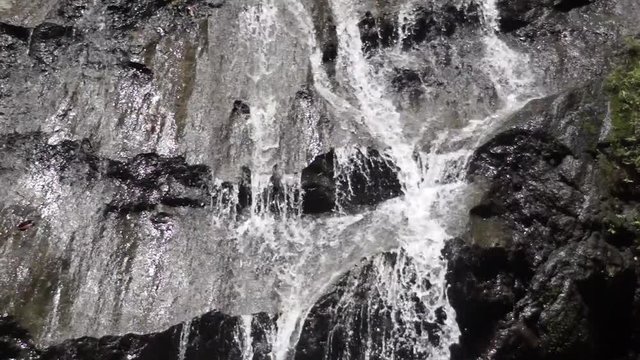 Beautiful waterfall located in Danum Valley, Borneo