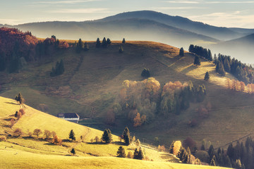 Scenic mountain landscape. View on Black Forest in Germany, covered in fog. Colorful travel background.