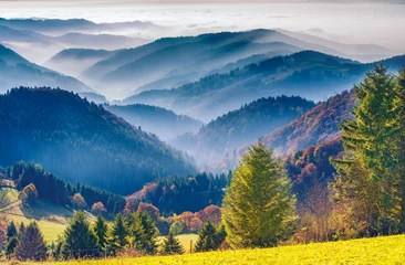 Crédence de cuisine en verre imprimé Lieux européens Paysage de montagne pittoresque. Vue sur la Forêt-Noire en Allemagne, couverte de brouillard. Fond de voyage coloré.
