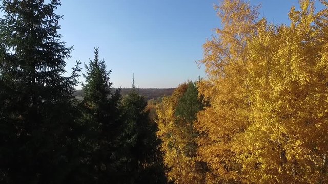 Golden autumn in the Ukrainian village.