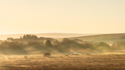 Stunning Autumnal sunrise orange glow through misty conditions in the landscape of Dartmoor