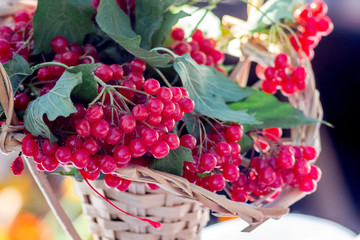 Red berries of guelder rose  with leaves in a glass vase - a decoration of a festive table_