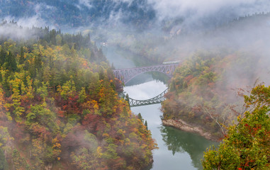 Train crossing the first bridge with surrounding beautiful autumn foliage and fog.