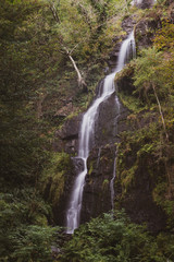Fototapeta premium Beautiful tall waterfall flowing over lush green landscape foliage in early Autumn