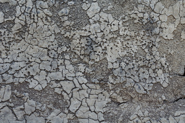 A dry land with cracks.