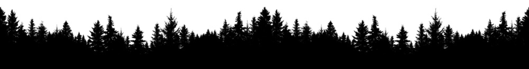 Seamless silhouette of coniferous forest, vector. Panorama evergreen Christmas Tree, spruce, fir. Isolated vector on white background