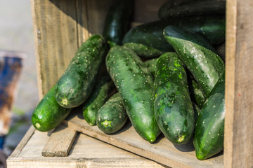 Organic cucumbers vegetables on display in wooden boxes at a street food market fair festival
