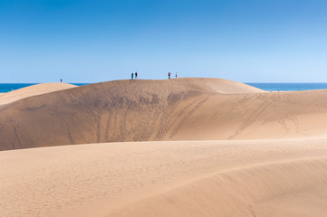 Fototapeta na wymiar Coastal dunes in Maspalomas beach, in Maspalomas, Gran Canaria Island, Canary Islands, Spain, on February 19, 2017