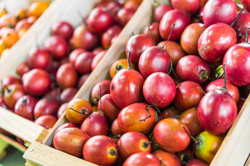 Organic tamarillo tree tomato exotic fruit on display in wooden boxes at a street food market fair festival
