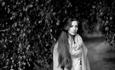 portrait of a girl in autumn Park
