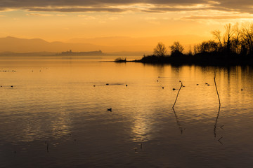 Beautiful view of Trasimeno lake at sunset with birds on water and Castiglione del Lago town in the background