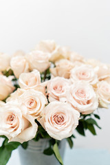 Pastel color. Beautiful light pink roses in bucket on street flower market. Rose flower holiday background.