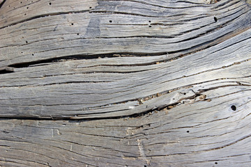 Old grey cracked wood surface texture horizontal