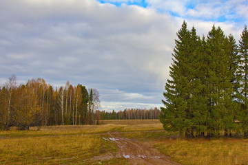 Autumn field and forest with deciduous and coniferous trees