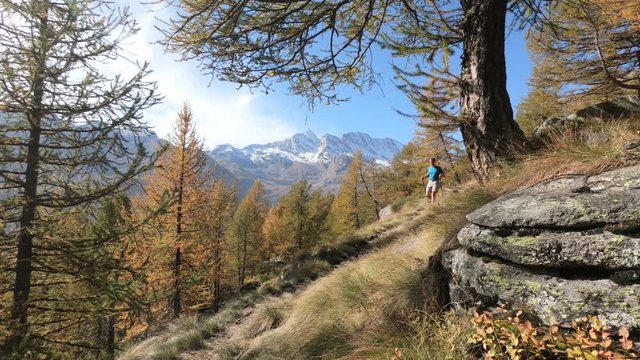 Man trekking in a beautiful sunny day, Gran Paradiso National Park. Italy