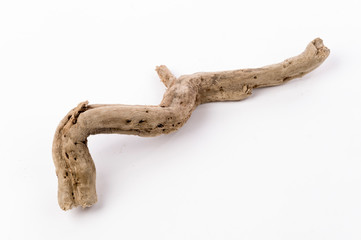 Dried tree snag