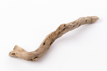 Dried tree snag
