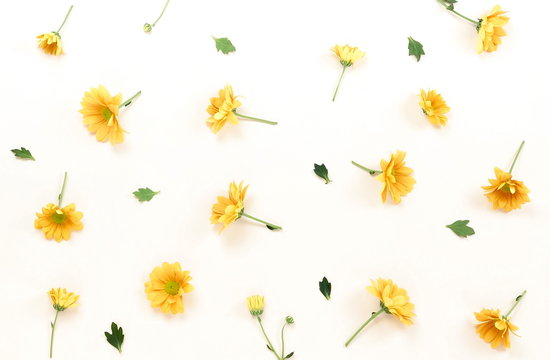 Fototapeta Flowers composition background. Yellow flowers pattern on light background. Flat lay. top view. 