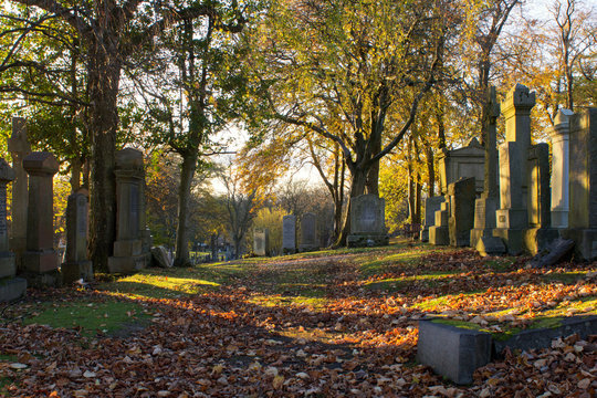 A Cemetery glowing in the light of a Autumn sunset