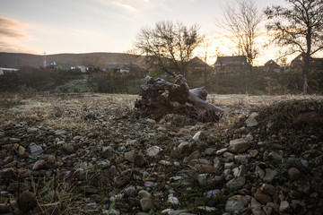 log covered with hoarfrost in a clearing in the countryside among dry grass and stones in the early autumn morning against the dawn and the village