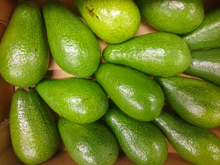 Beautiful and fresh avocado on a shelf in a supermarket.