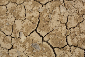 Dry surface of ground