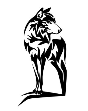 wild wolf standing on rock black and white vector outline design