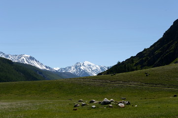 Fototapeta premium Mountain landscape in the area of the abandoned Aktash hydroelectric station. Altai Republic