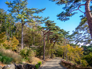 Obraz premium 【静岡県伊豆市】公園の風景【修善寺虹の郷】