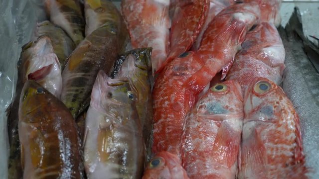 Pesce fresco sul banco