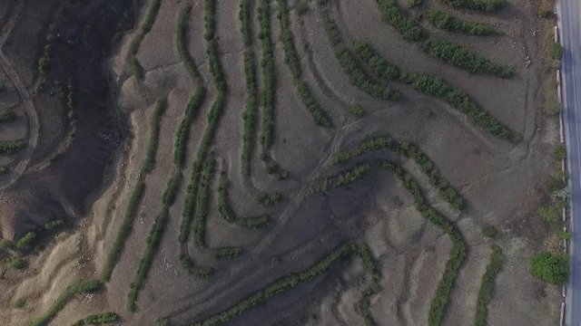 Aerial view of agricultural fields in the mountains with blue sky background. Shot